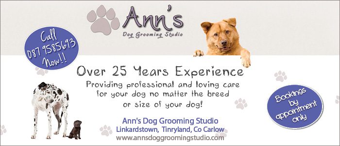 Anns Groomong Studio WEB_revised